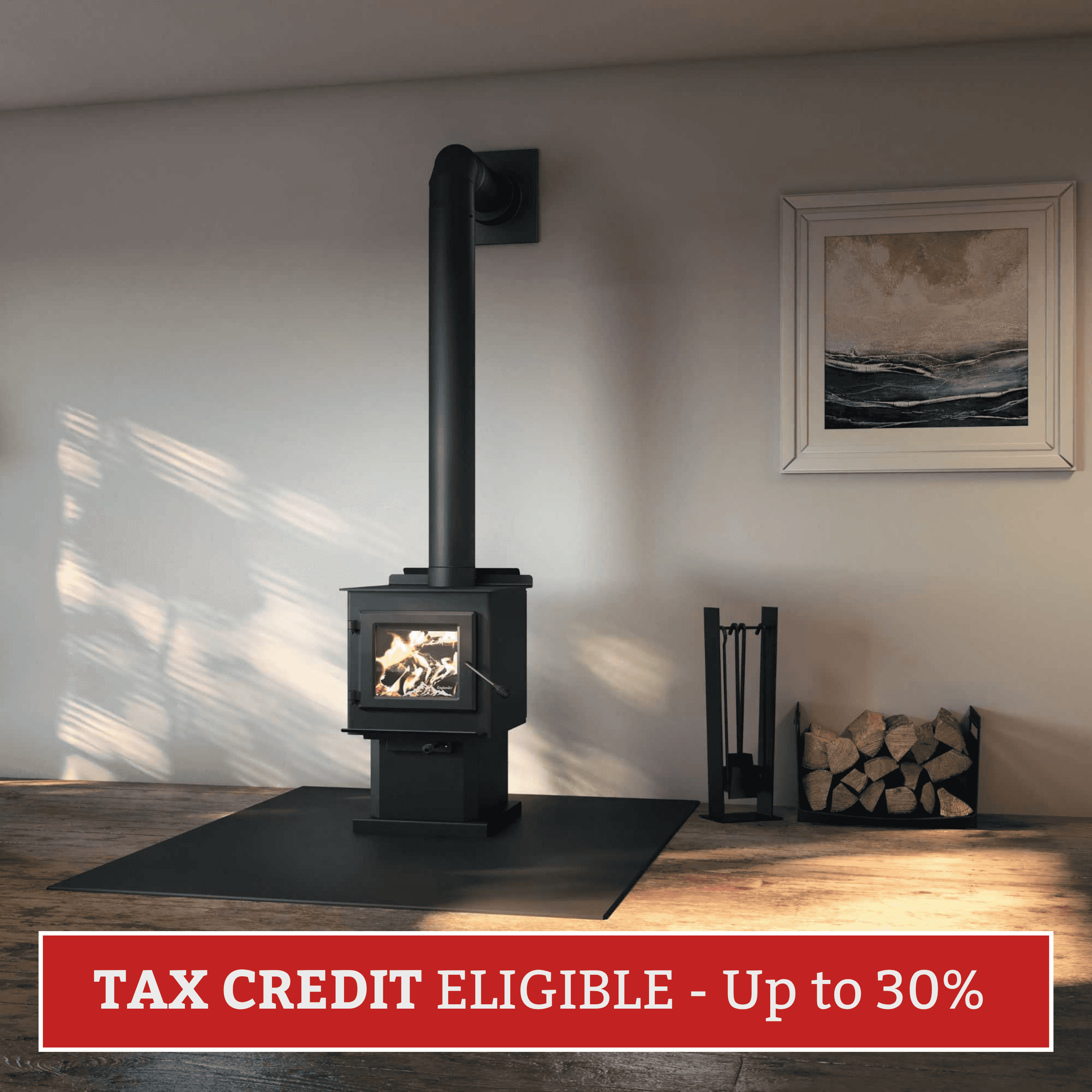 Blue Ridge 100 EPA Certified Wood Stove for Efficient Home Heating ESW0001