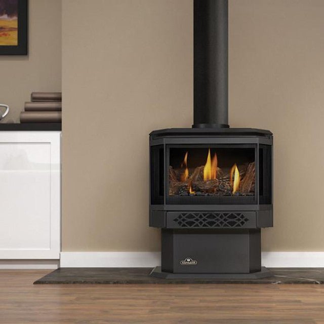 Napoleon Haliburton Direct Vent Gas Stove